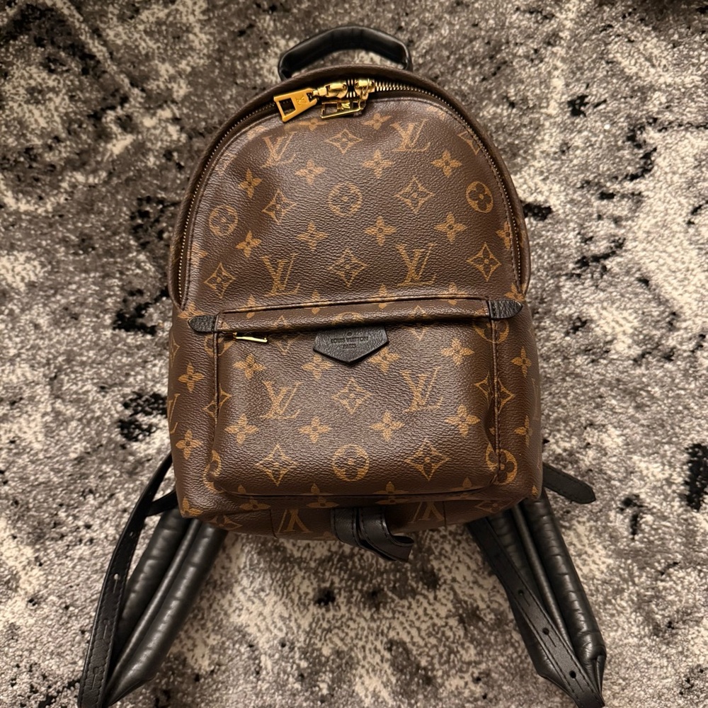 Palm springs pm Louis Vuitton backpack